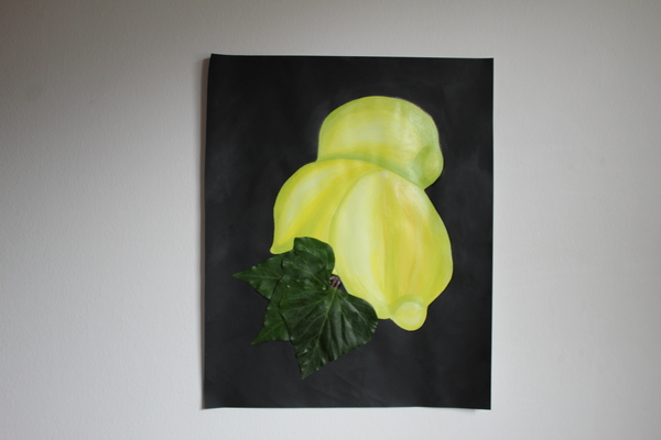 Mrtva Priroda So Kolaz